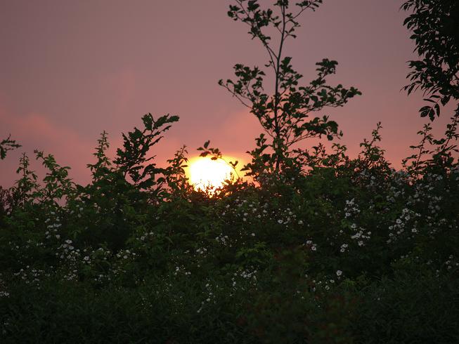 Solnedgang fra terrassen